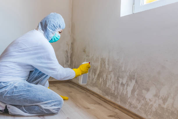 Hvac And Air Duct Mold Remediation inspection of HVAC system in West River